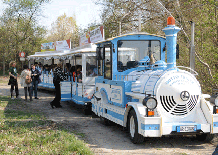 JUMBO TRAIN Noleggio trenino, Gite scolastiche, Parco Ticino, Vigevano