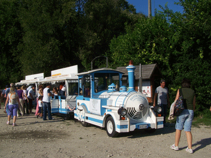 JUMBO TRAIN Affitto, Noleggio trenino, Matrimoni, Manifestazioni, Gite in trenino, Vigevano, Pietrasanta