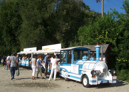 JUMBO TRAIN Noleggio trenino, Gite scolastiche, Parco Ticino, Vigevano